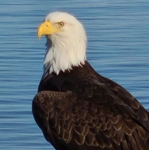 Meet your Posher, Tim